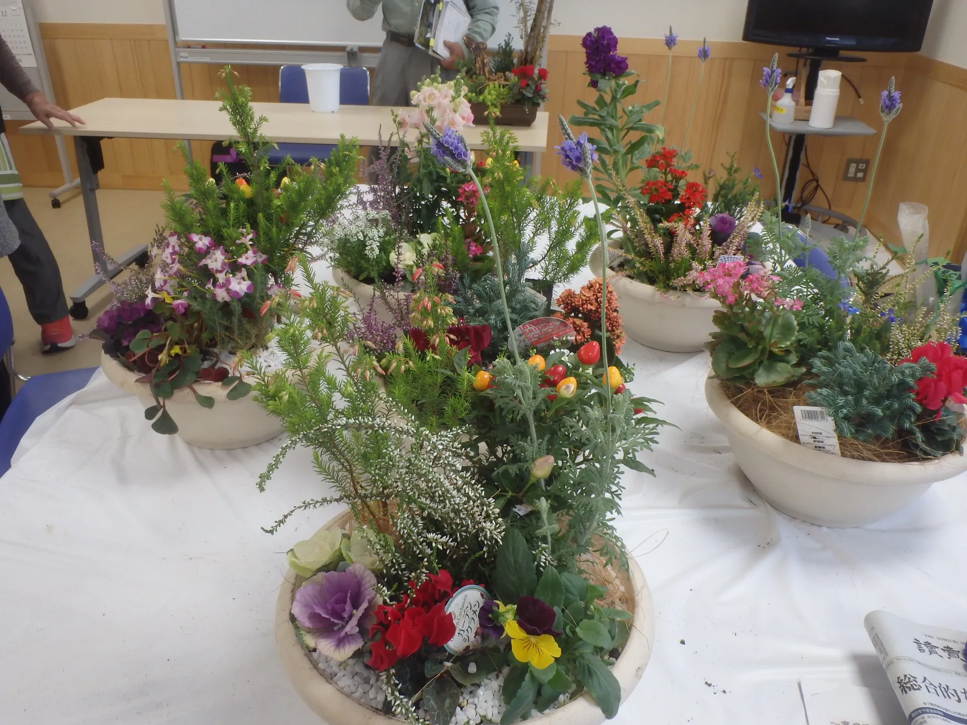 寄せ植えの講習会を行いました!
