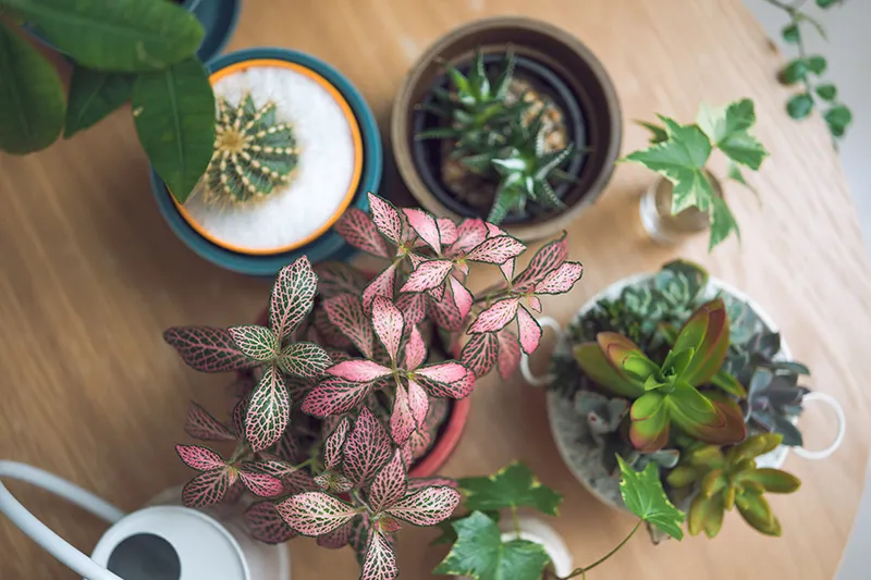 株式会社緑花園